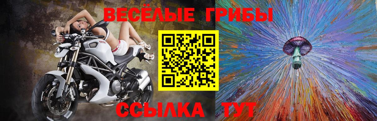 Галлюциногенные грибы Psilocybine cubensis  Псилоцибиновые грибы мухоморы  наркотики  Лениногорск  Вход с VPN 