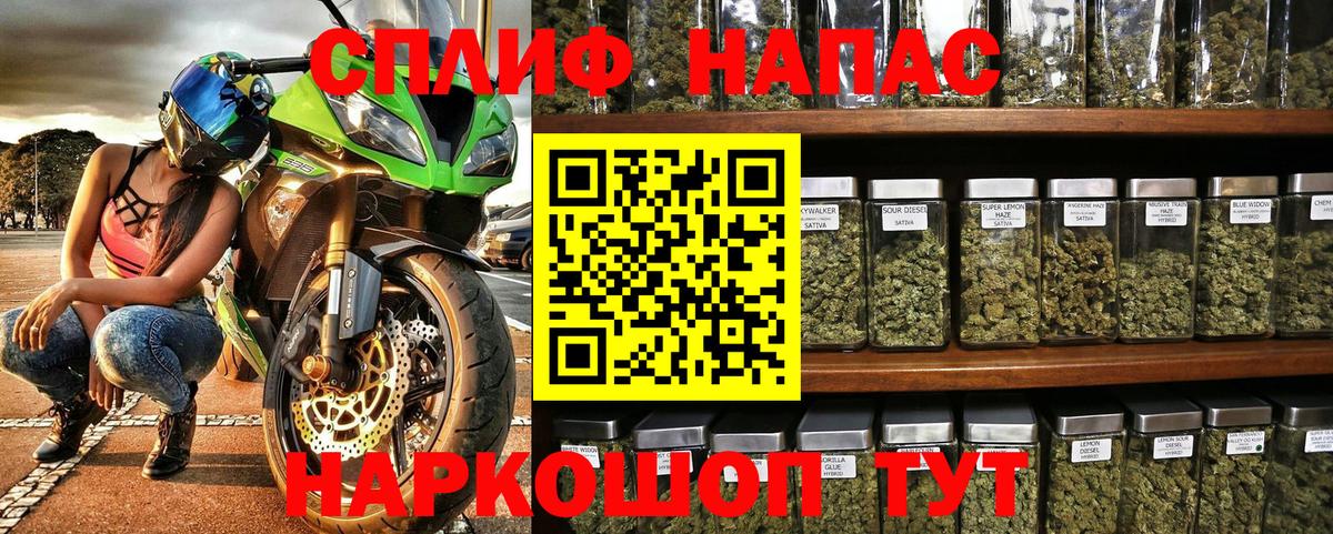 Конопля марихуана Лениногорск